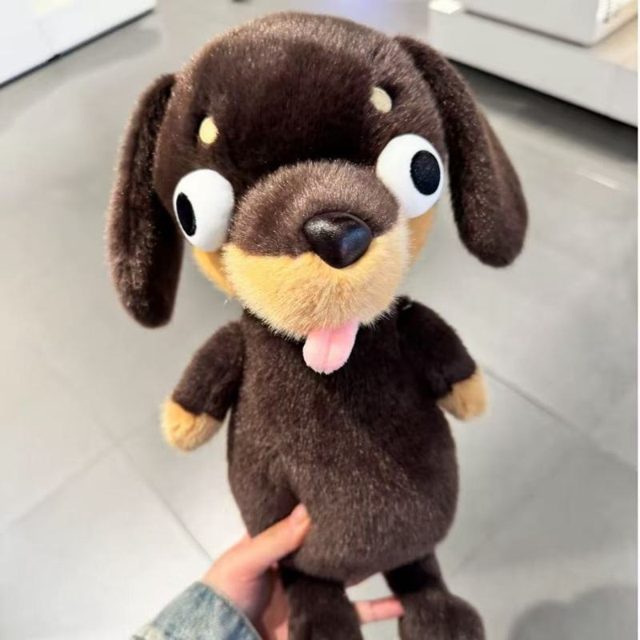 Goofy Googly-Eye Dachshund Plush