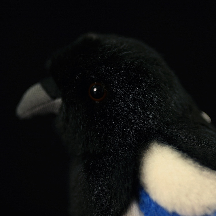 Lifelike Magpie Bird Plush โ photo 5