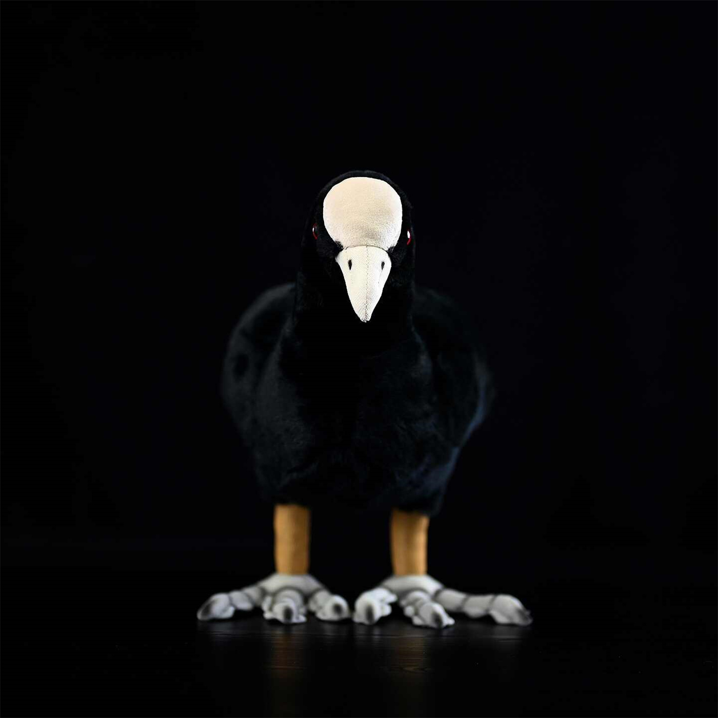 Lifelike Coot Waterbird Plush โ photo 3