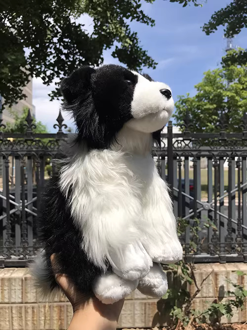 Realistic Border Collie Plush โ photo 2