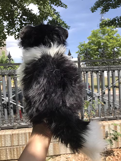 Realistic Border Collie Plush โ photo 5
