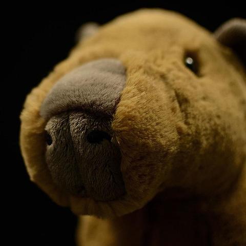 Chill Capybara Plush