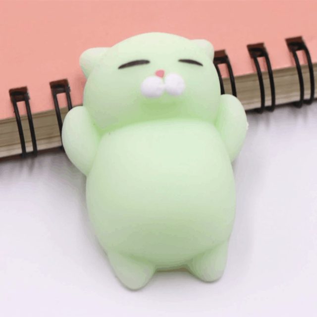 Mint Cat Mochi Squishy