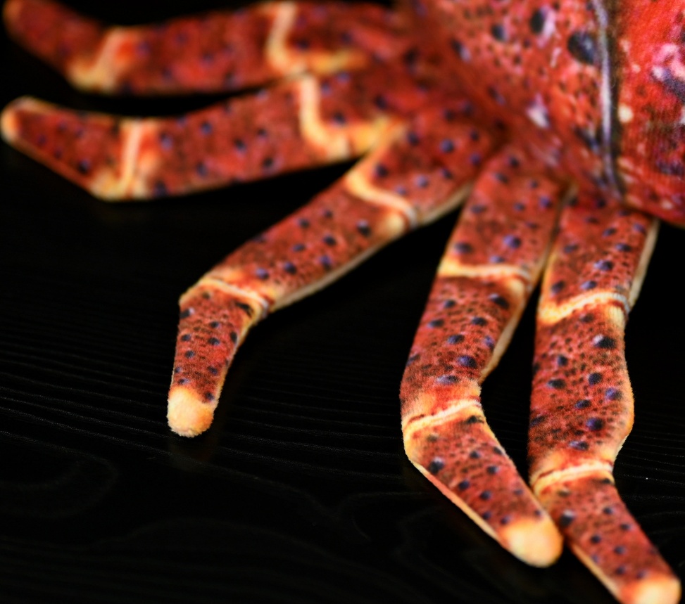 Realistic Spiny Lobster Plush โ photo 3