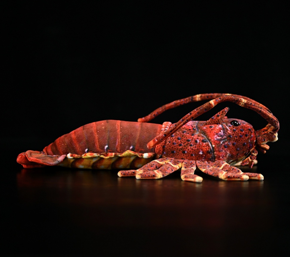 Realistic Spiny Lobster Plush โ photo 4