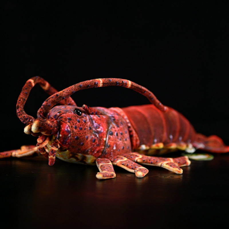 Realistic Spiny Lobster Plush โ photo 5