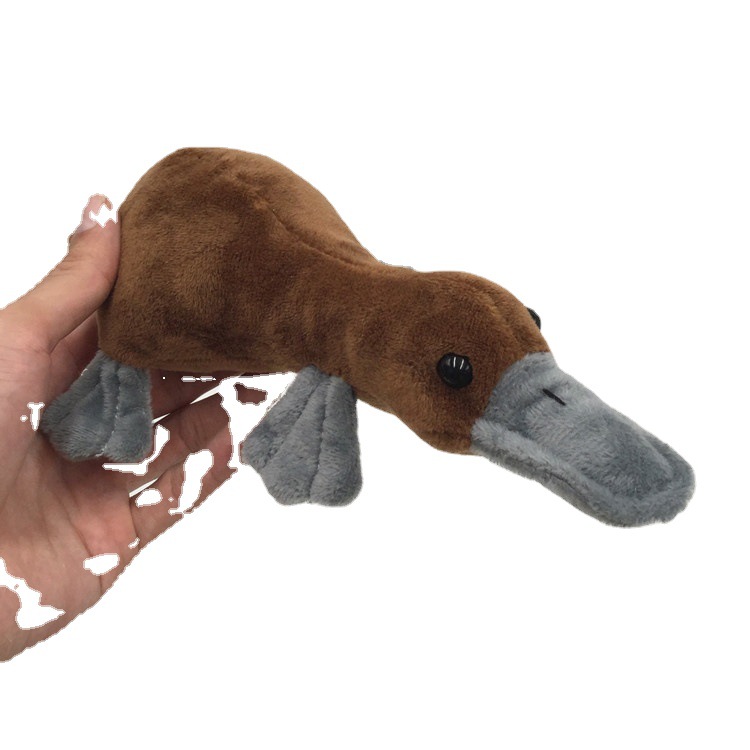 Realistic Platypus Plush โ photo 5
