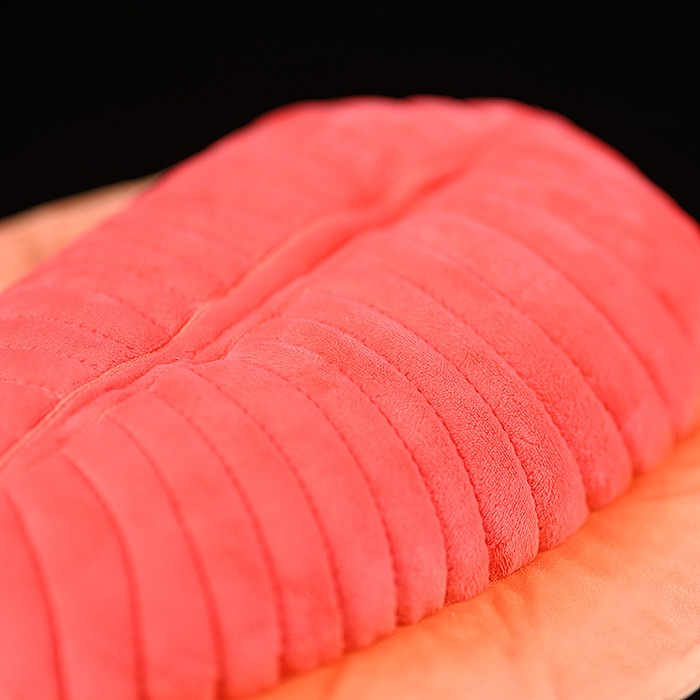 Pink Trilobite Sea-Bug Plush โ photo 3