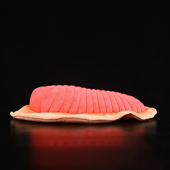Pink Trilobite Sea-Bug Plush โ photo 4