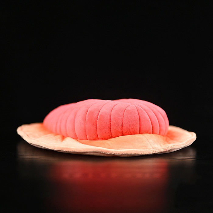 Pink Trilobite Sea-Bug Plush โ photo 5