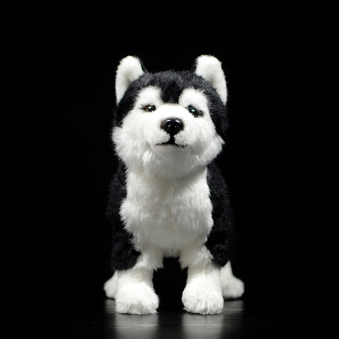 Husky Dog Squeaky Plush Toy โ photo 5