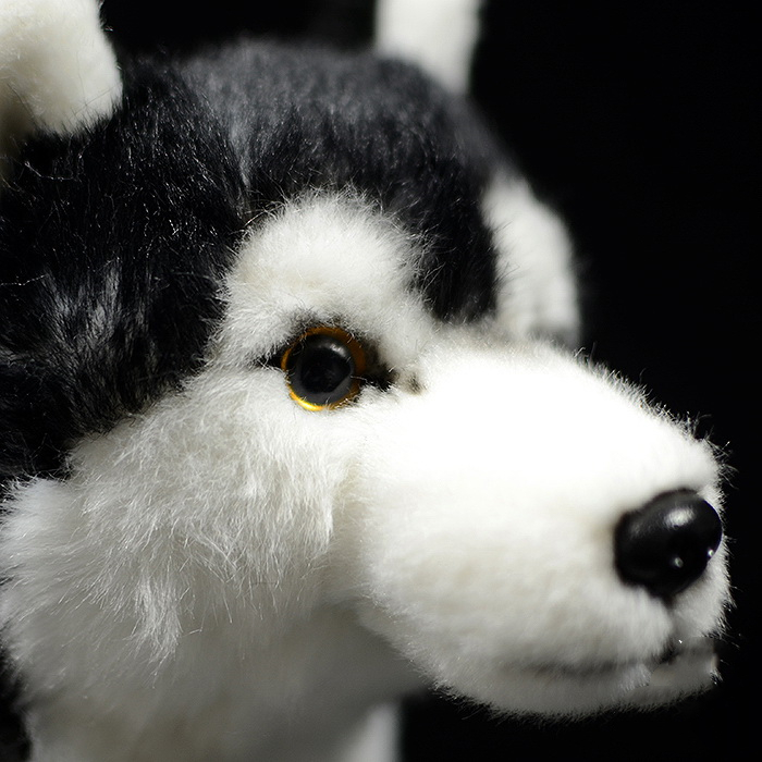 Husky Dog Squeaky Plush Toy