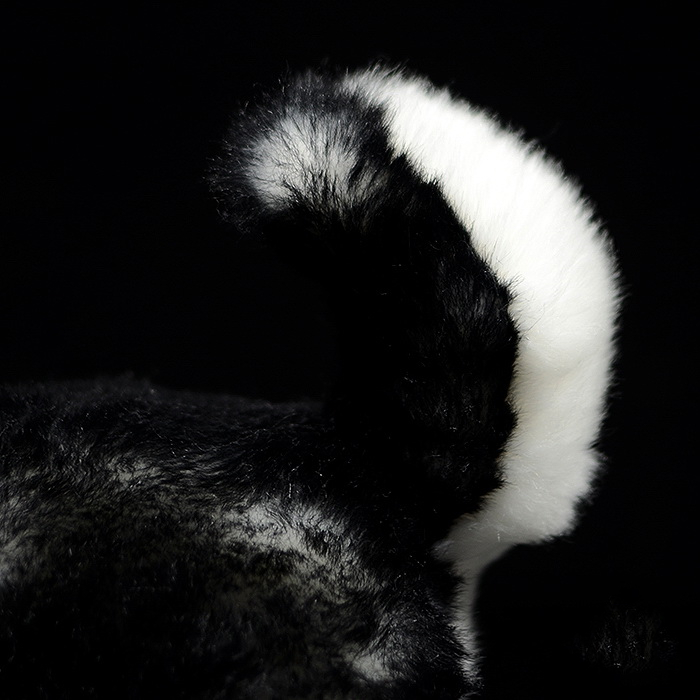 Husky Dog Squeaky Plush Toy โ photo 3