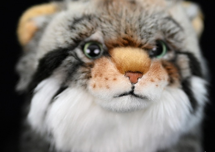 Realistic Pallas's Cat Plush โ photo 4