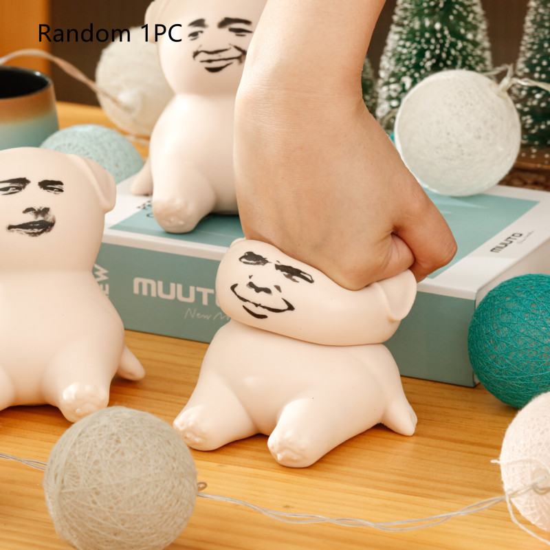 Grumpy-Face Pig Stress Squeeze Toy