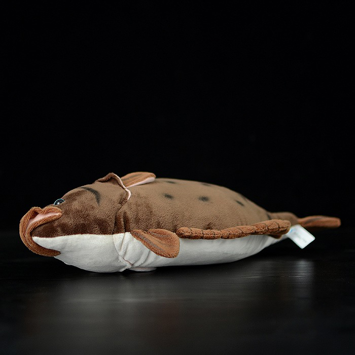 Realistic Flounder Flatfish Plush โ photo 5
