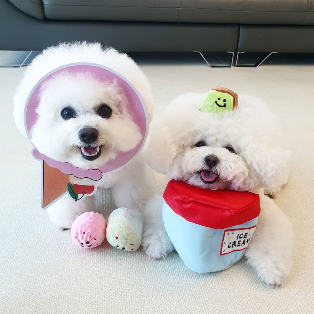 Korean Ice Cream Bucket Light-Up Squishy — photo 3