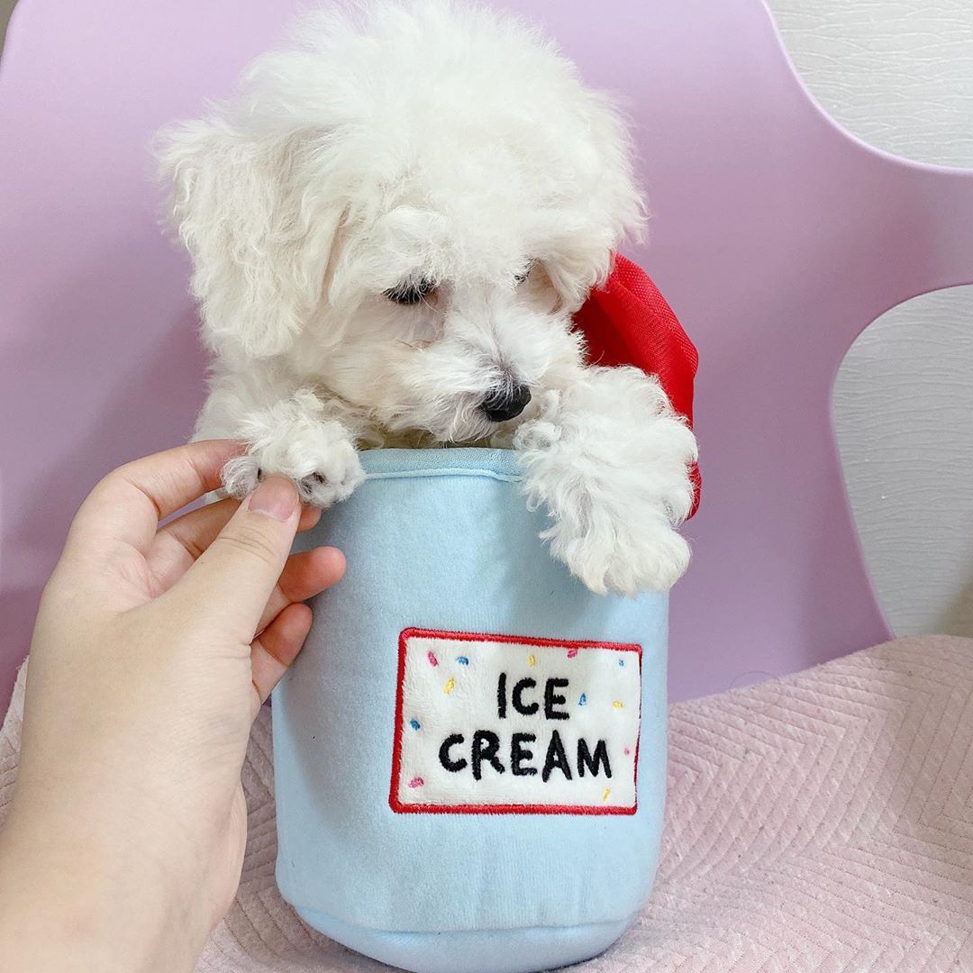 Korean Ice Cream Bucket Light-Up Squishy — photo 4