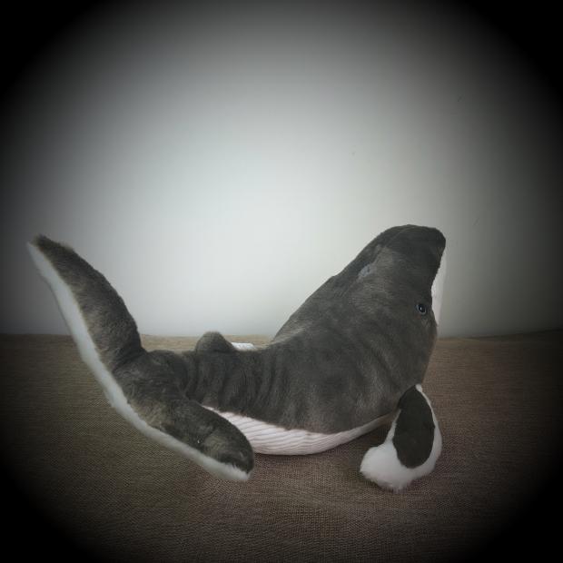 Chonky Humpback Whale Plush โ photo 3