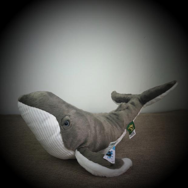 Chonky Humpback Whale Plush โ photo 4