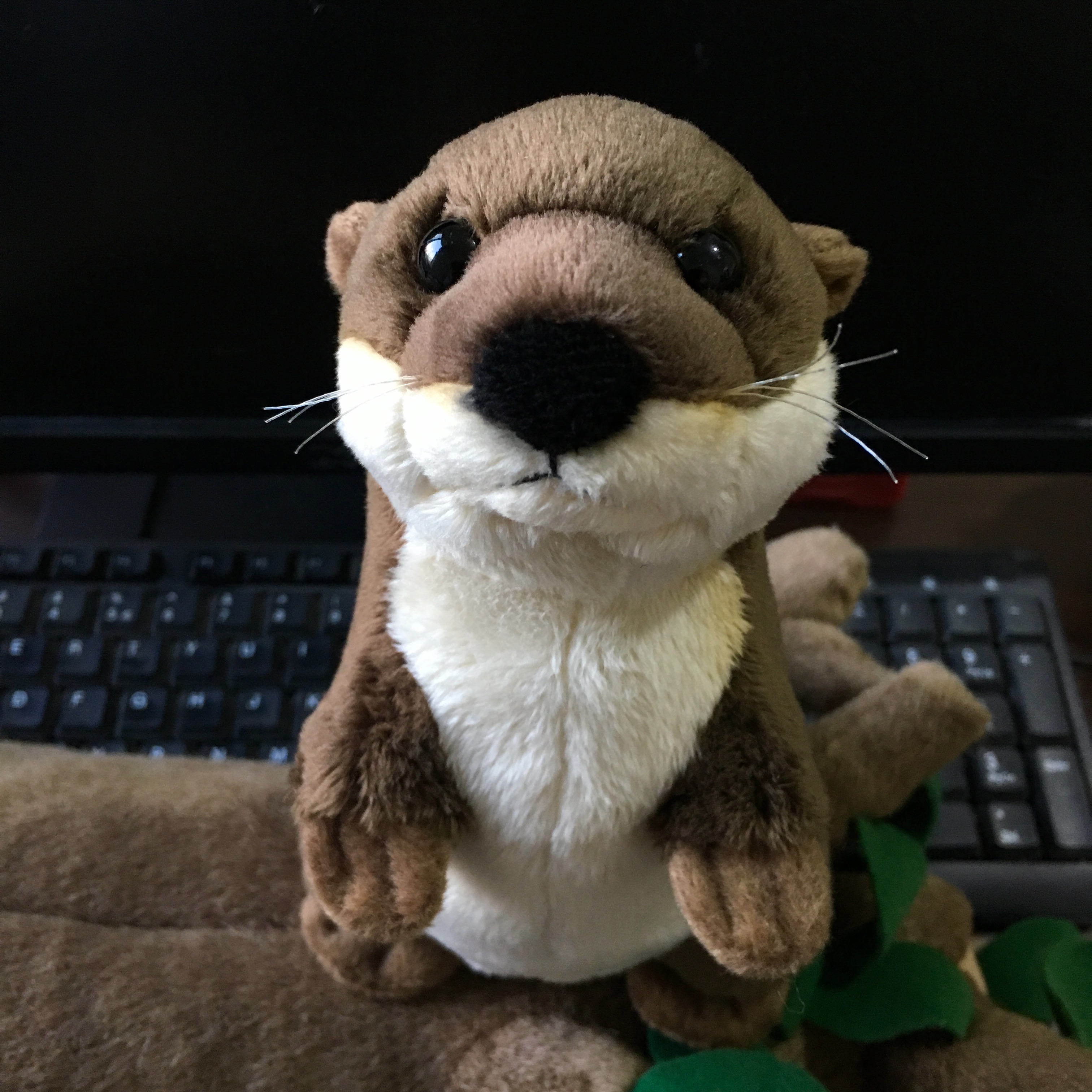 Realistic River Otter Plush