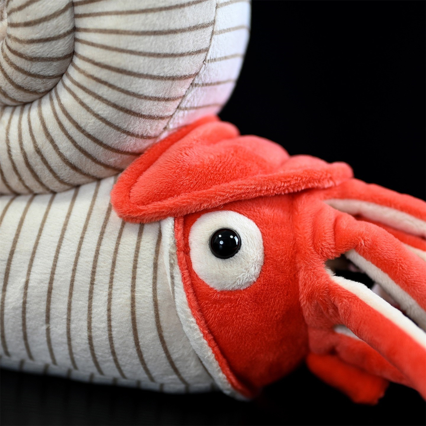 Realistic Ammonite Sea Creature Plush โ photo 3