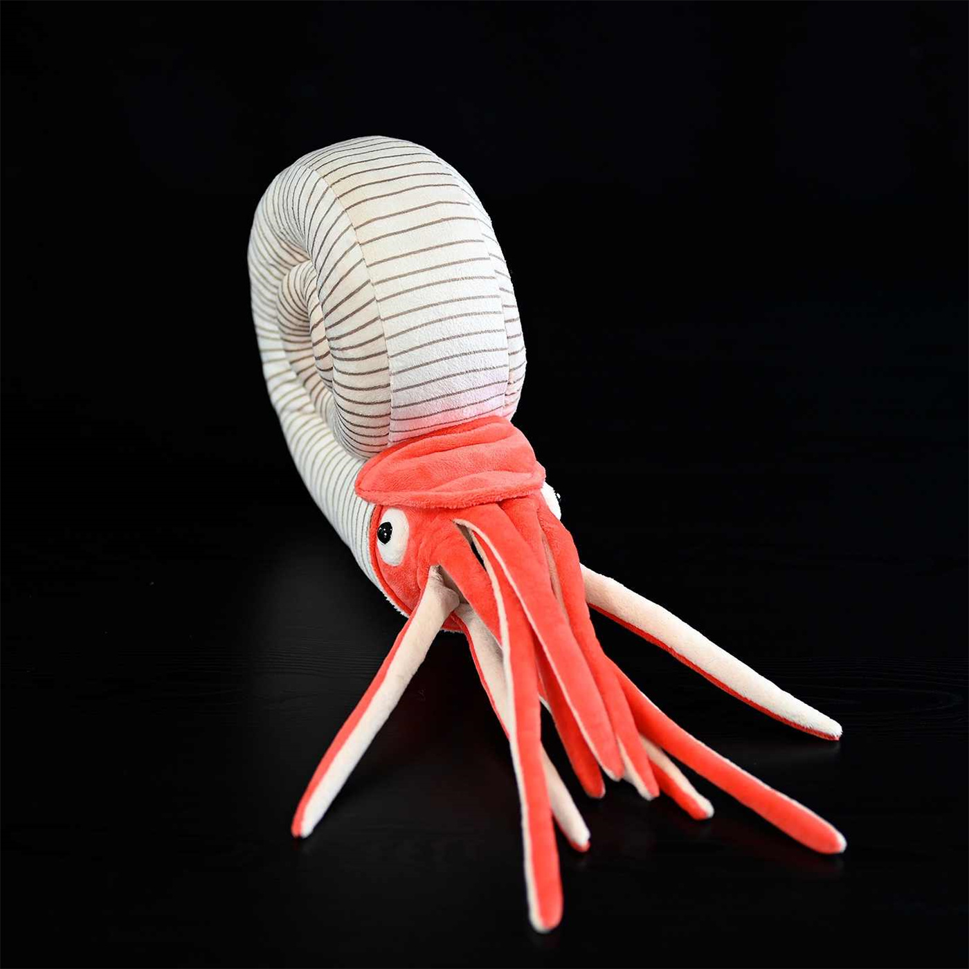 Realistic Ammonite Sea Creature Plush โ photo 5