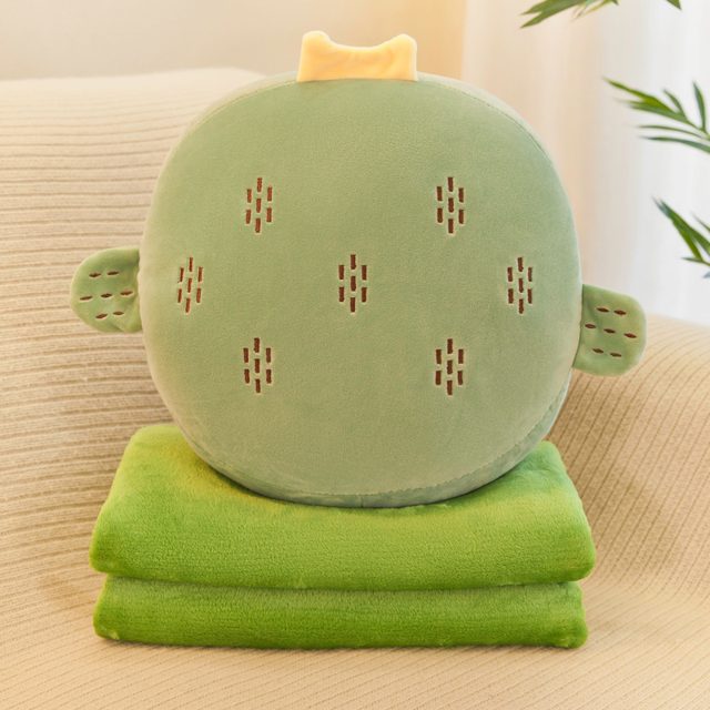 Cactus Round Cushion With Blanket