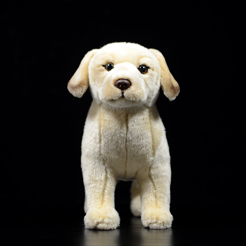Lifelike Labrador Puppy Plush โ photo 3