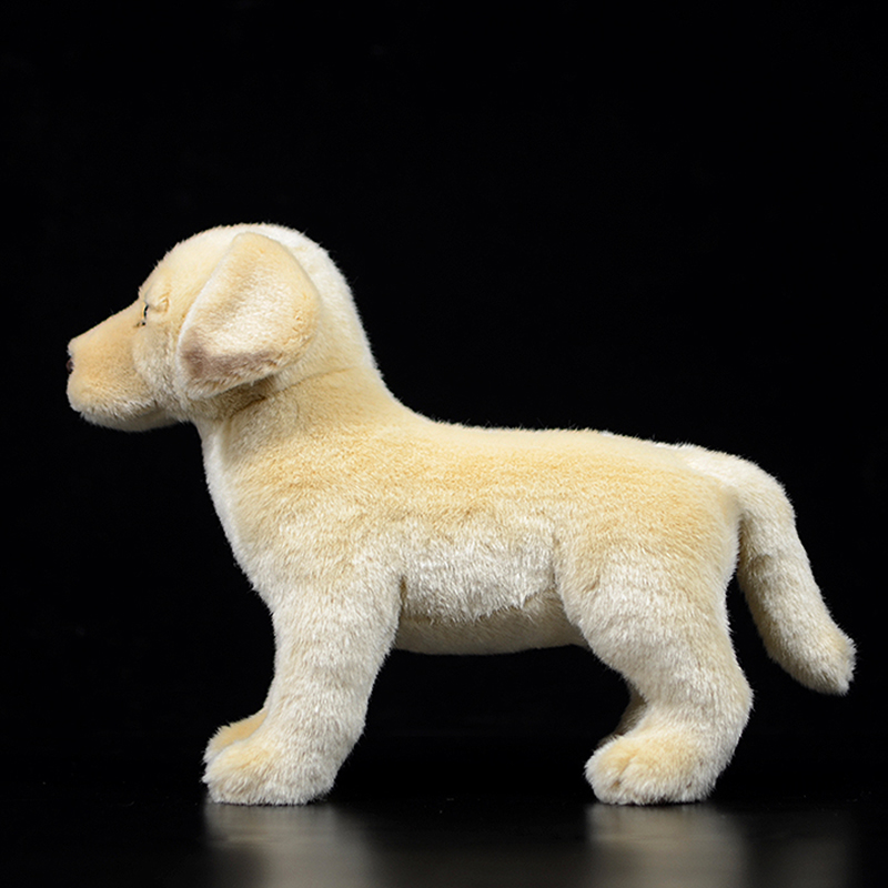 Lifelike Labrador Puppy Plush โ photo 5