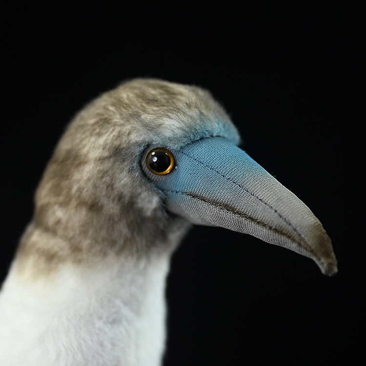 Realistic Blue-Footed Booby Bird Plush