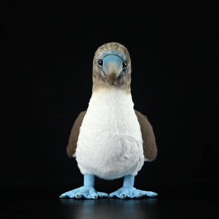 Realistic Blue-Footed Booby Bird Plush โ photo 5
