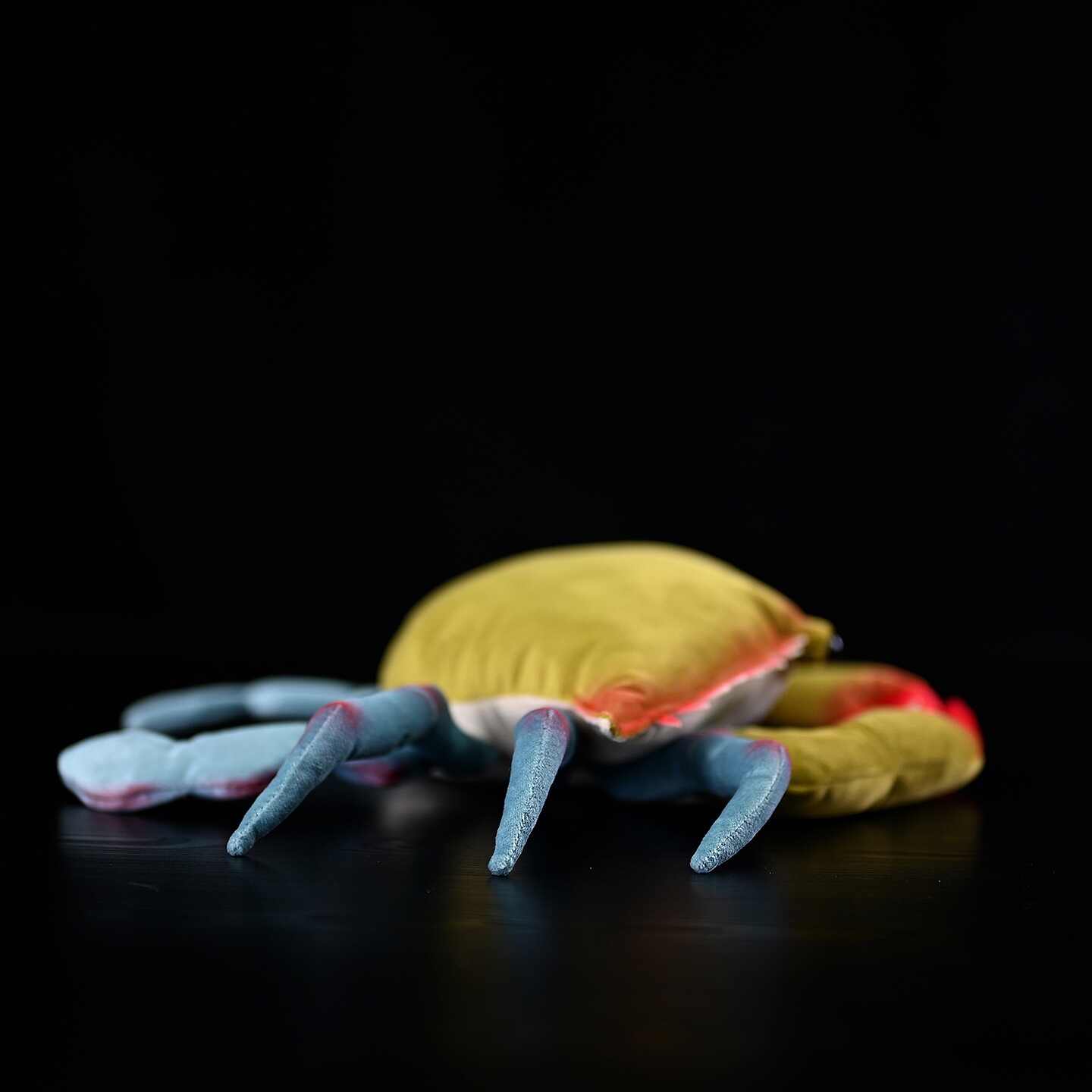 Realistic Sea Crab Plush โ photo 5