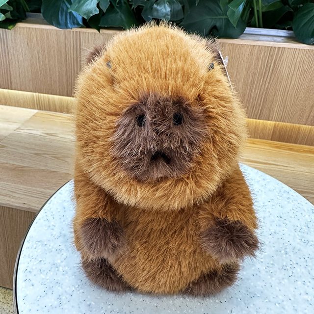 Fluffy Brown Capybara Plush โ photo 2