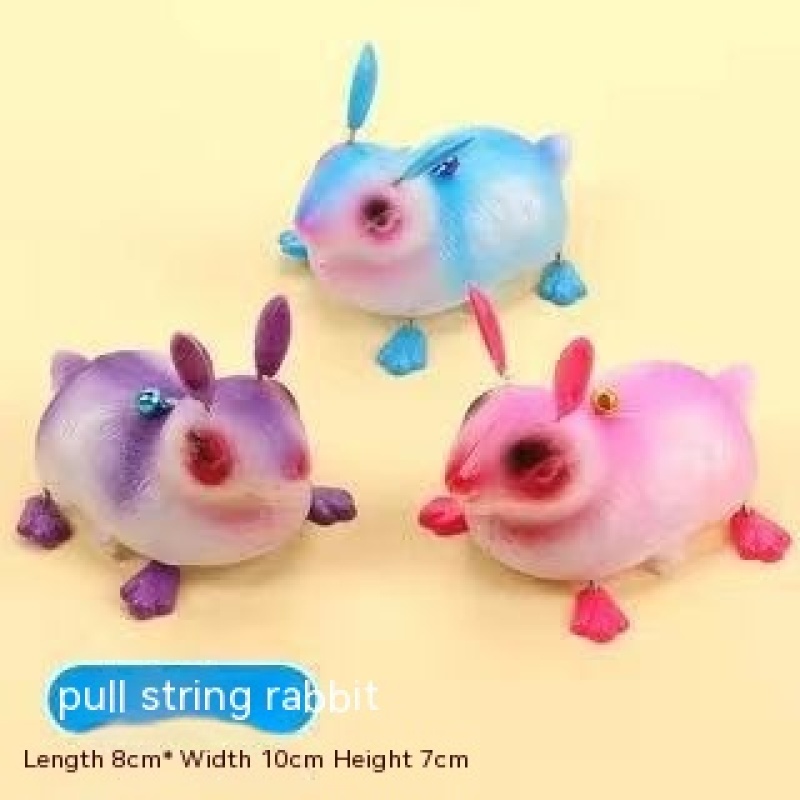 Pull-String Wind-Up Turtle Toy โ photo 5