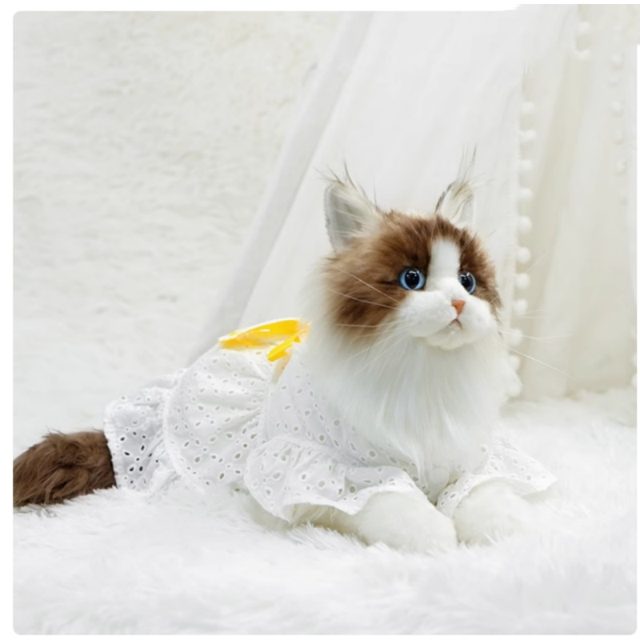 Eyelet Dress Ragdoll Cat Plush