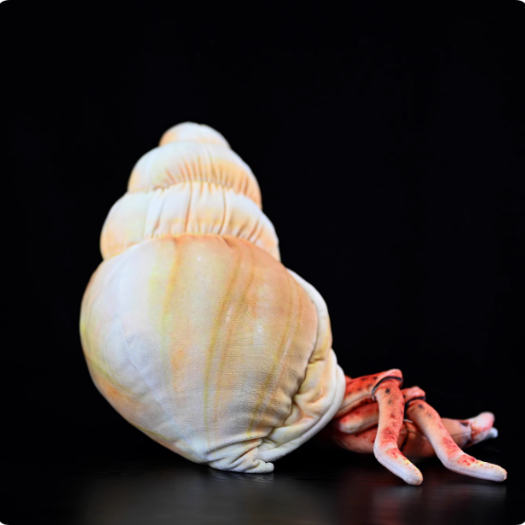 Realistic Hermit Crab In Spiral Shell Plush โ photo 2