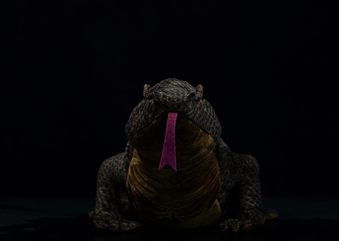Realistic Komodo Dragon Lizard Plush โ photo 2