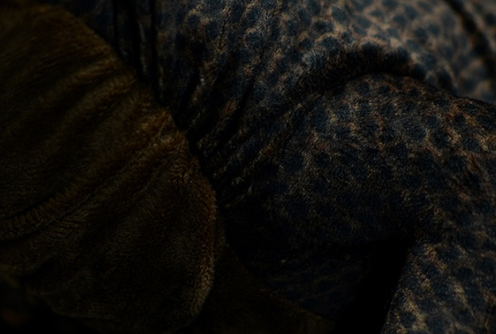 Realistic Komodo Dragon Lizard Plush โ photo 4