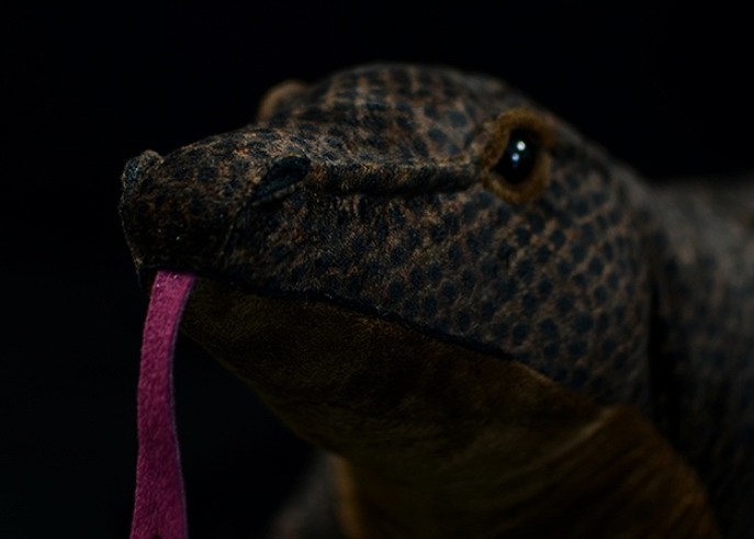 Realistic Komodo Dragon Lizard Plush โ photo 5