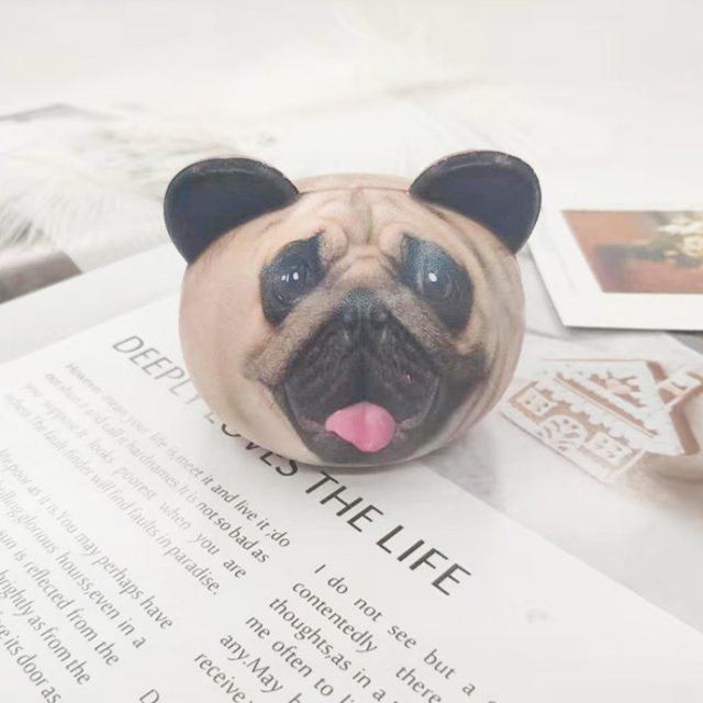 Slow-Rise Realistic Pug Head Squishy