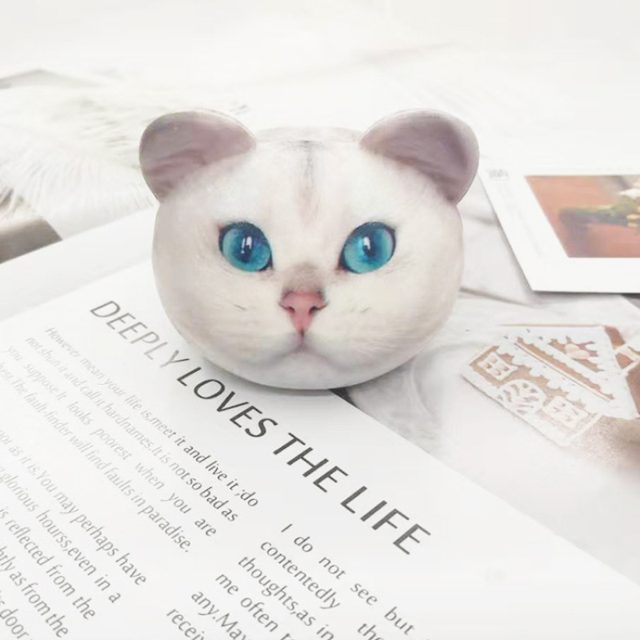 Slow-Rise Blue-Eyed White Cat Head Squishy