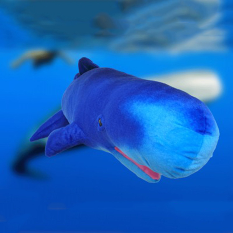 Deep Blue Sperm Whale Plush โ photo 5