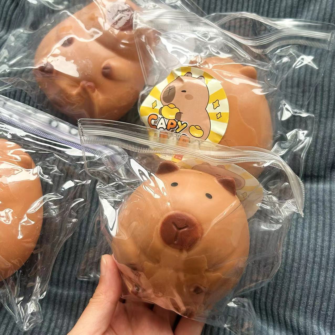 Chonky Capybara Squishy