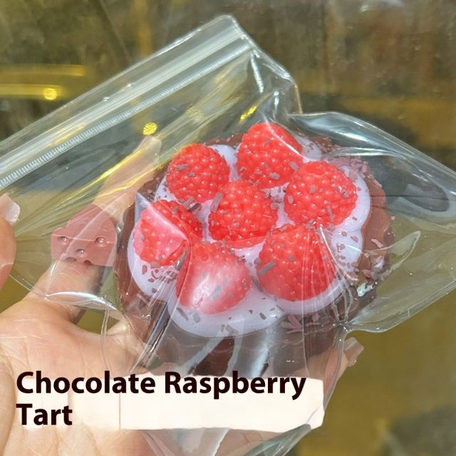 Chocolate Raspberry Tart Squishy