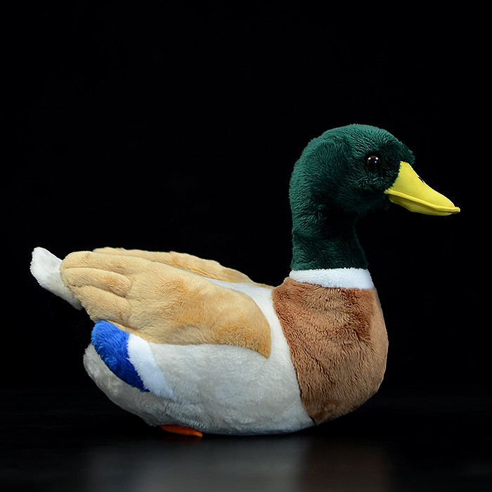 Lifelike Mallard Duck Plush โ photo 4
