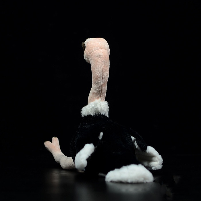 Lifelike African Ostrich Plush โ photo 2