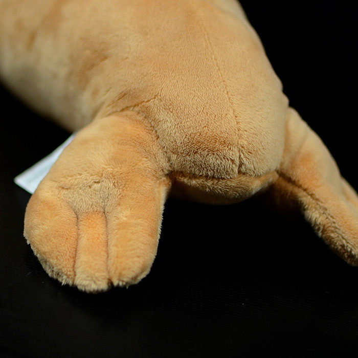 Realistic Walrus Plush With Tusks โ photo 2