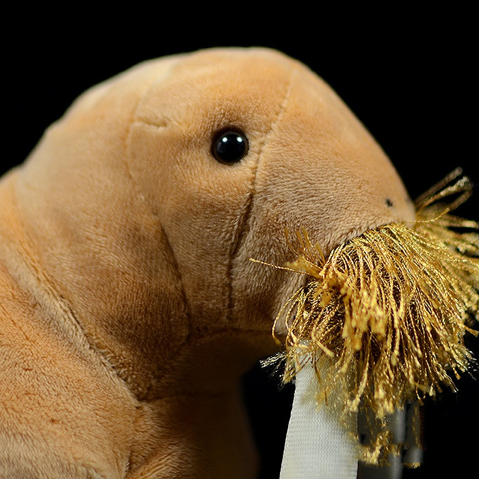 Realistic Walrus Plush With Tusks โ photo 4