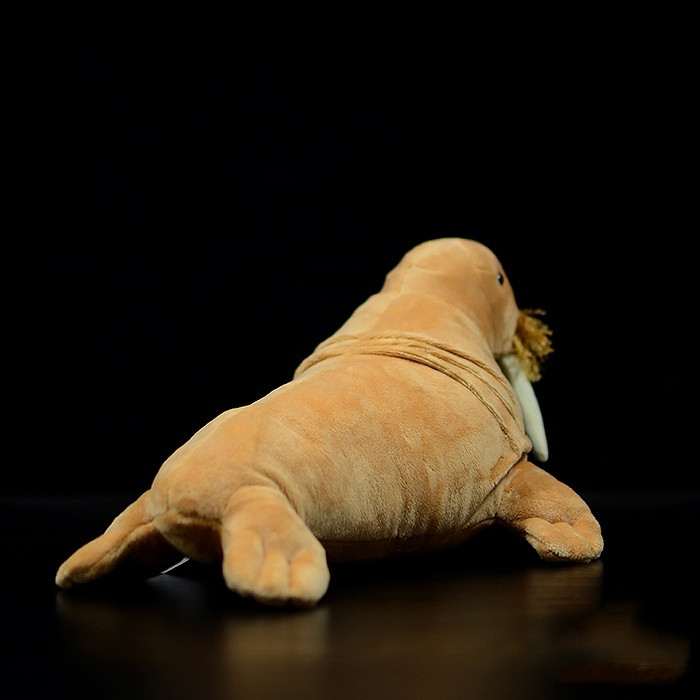 Realistic Walrus Plush With Tusks โ photo 5